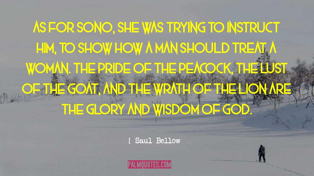 Own Glory quotes by Saul Bellow