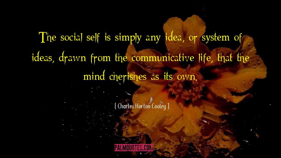 Own Self quotes by Charles Horton Cooley