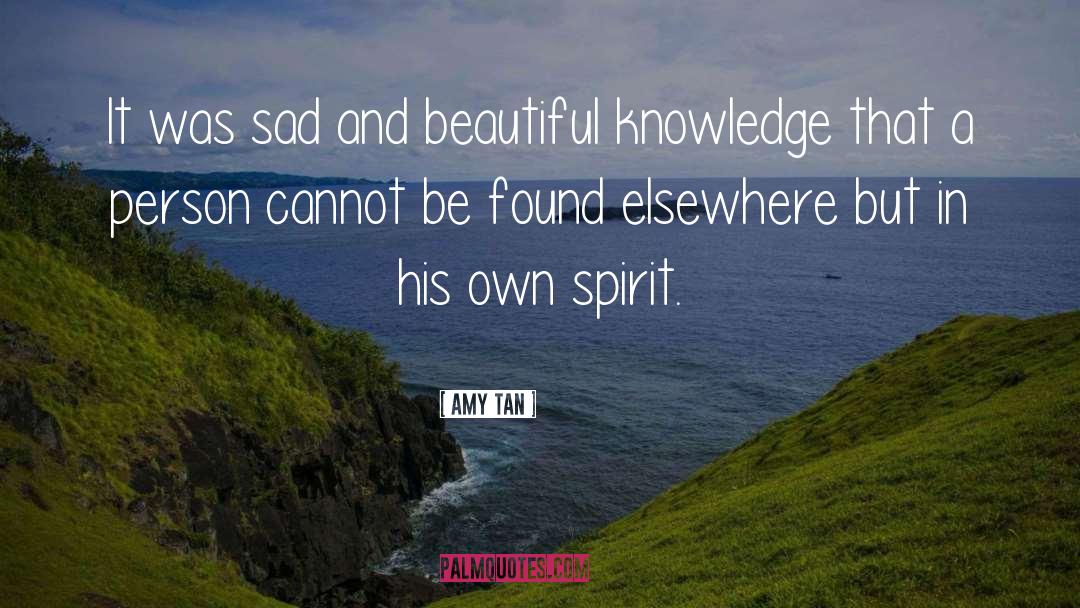 Own Spirit quotes by Amy Tan