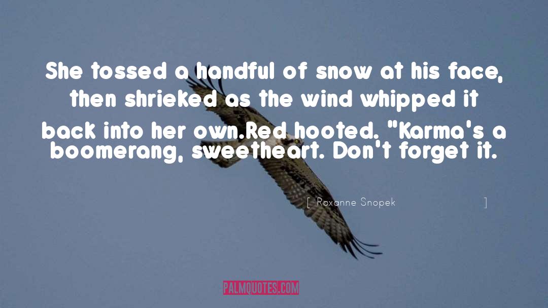 Own The Wind Chaos Story quotes by Roxanne Snopek