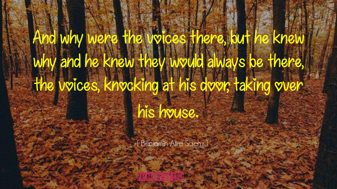 Own Voices quotes by Benjamin Alire Saenz