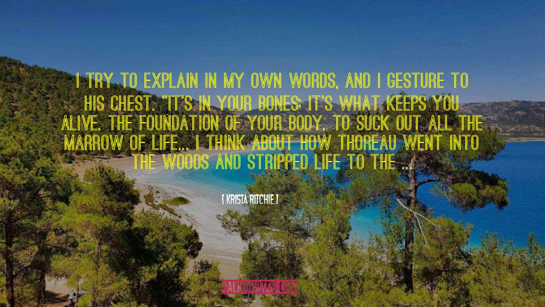Own Words quotes by Krista Ritchie