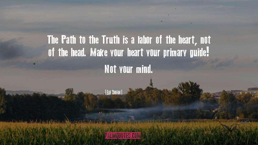 Own Your Path quotes by Elif Shafak