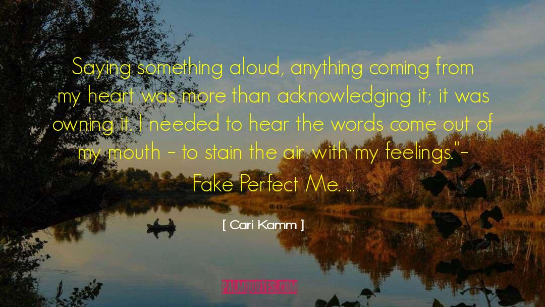 Owning It quotes by Cari Kamm