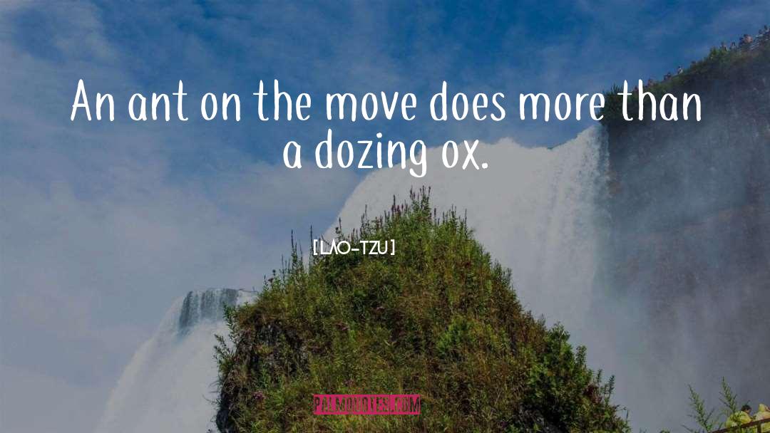 Ox quotes by Lao-Tzu