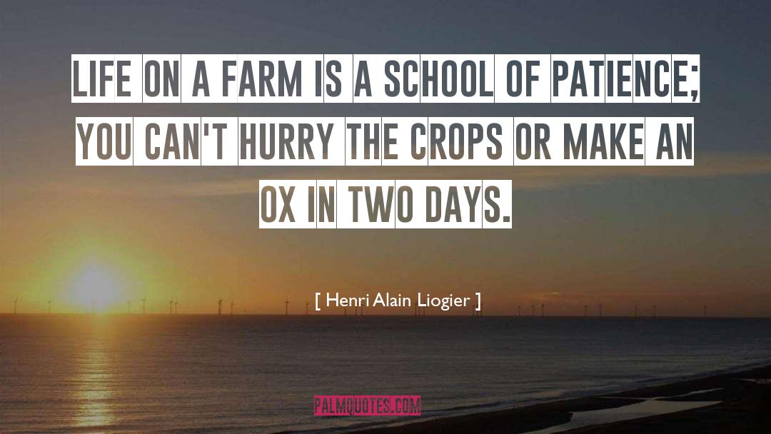 Ox quotes by Henri Alain Liogier