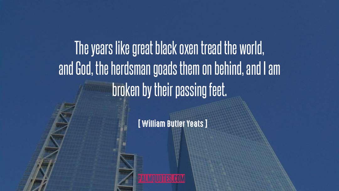 Oxen quotes by William Butler Yeats