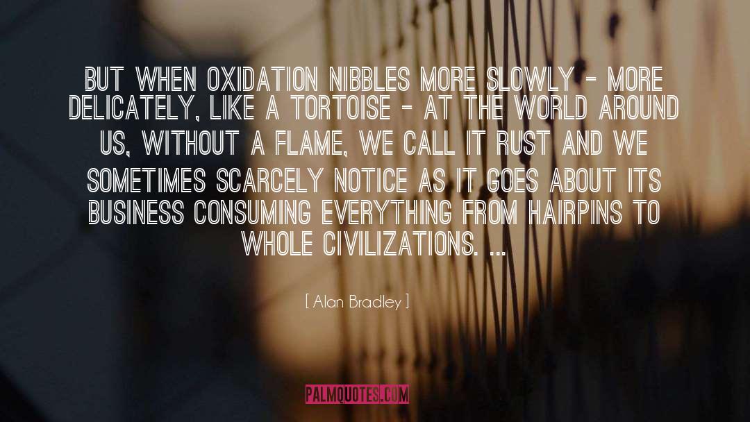 Oxidation quotes by Alan Bradley