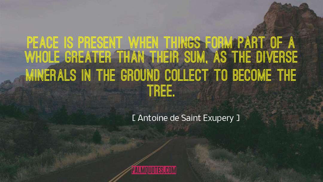 Oxide Minerals quotes by Antoine De Saint Exupery