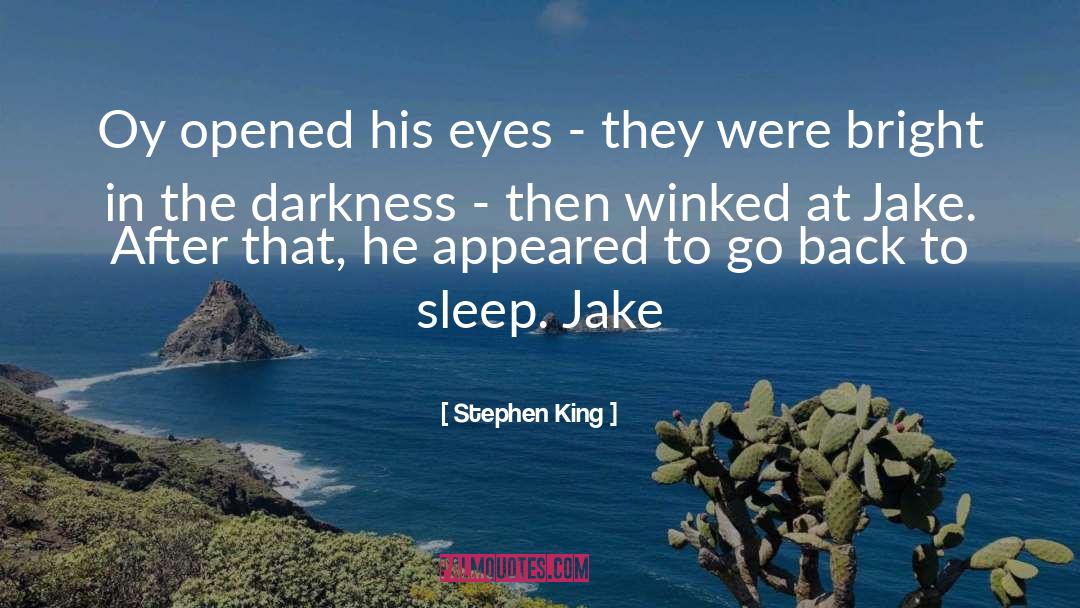 Oy quotes by Stephen King