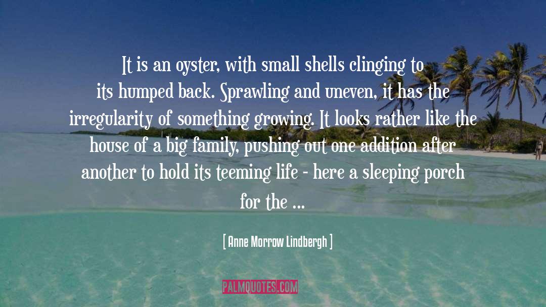 Oyster quotes by Anne Morrow Lindbergh