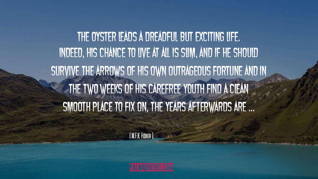 Oyster quotes by M.F.K. Fisher