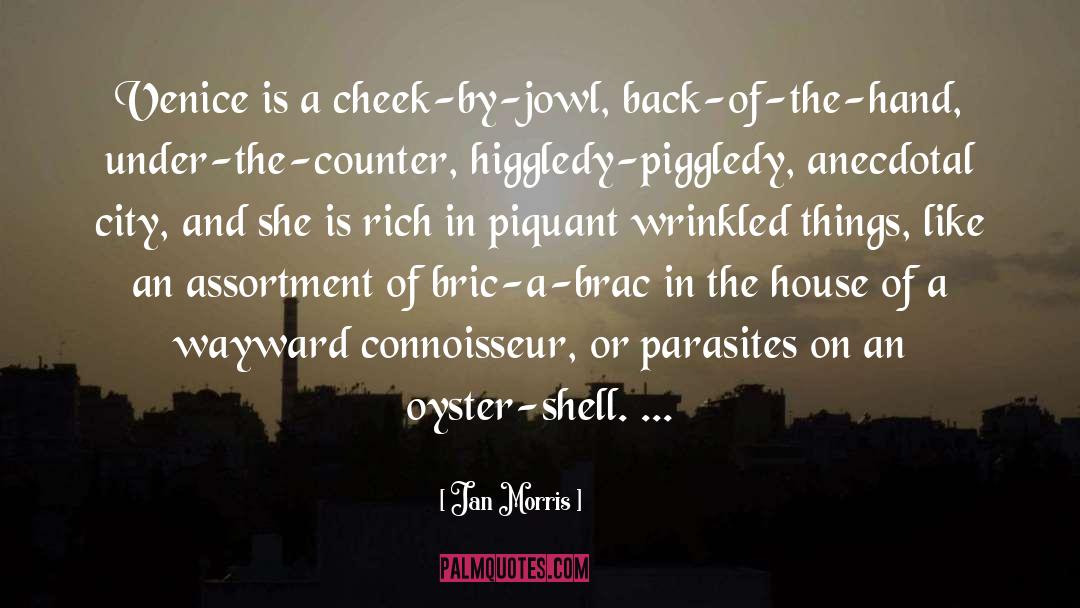 Oyster quotes by Jan Morris
