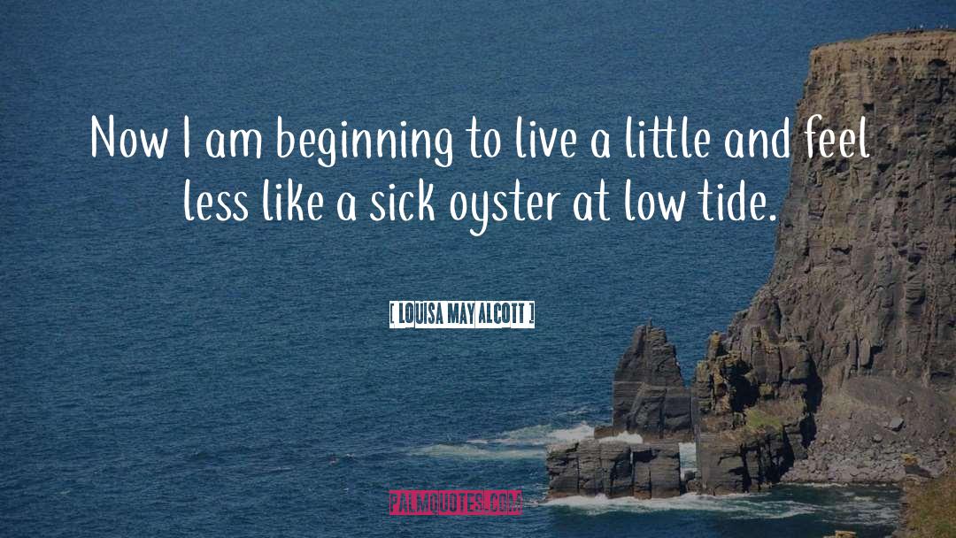 Oyster quotes by Louisa May Alcott