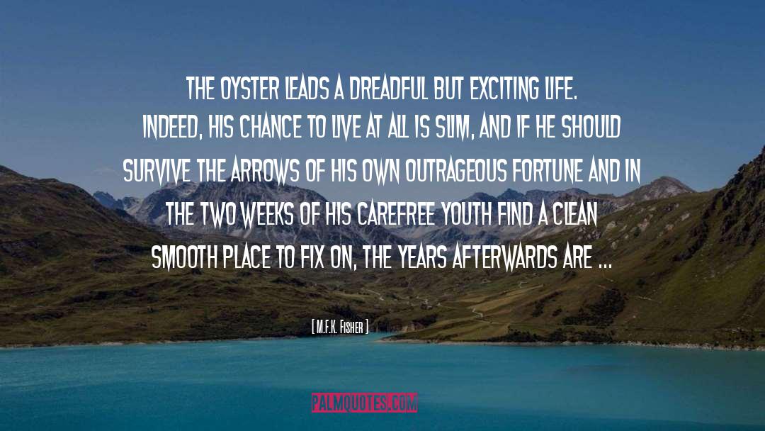 Oysters quotes by M.F.K. Fisher