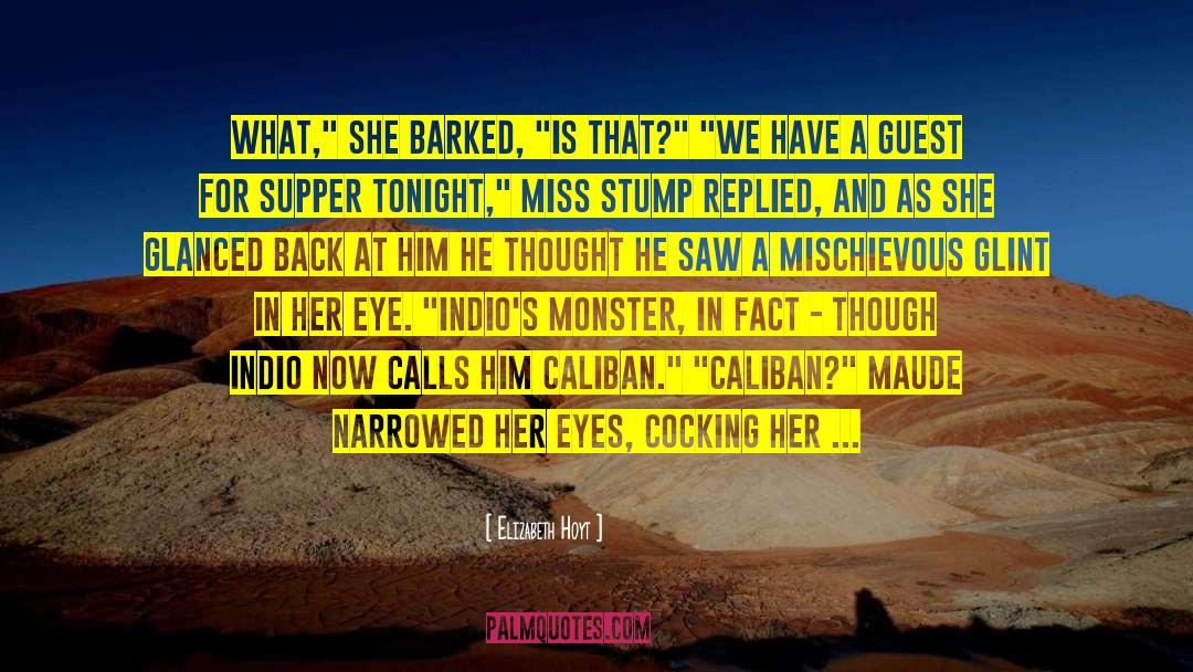 P 1500 Monster quotes by Elizabeth Hoyt