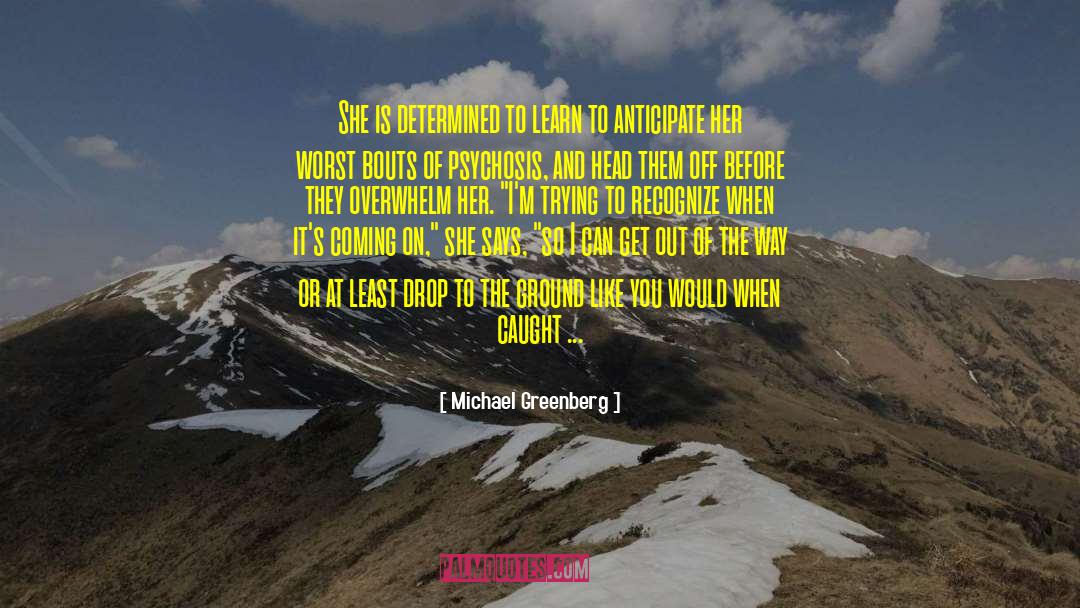 P 233 quotes by Michael Greenberg