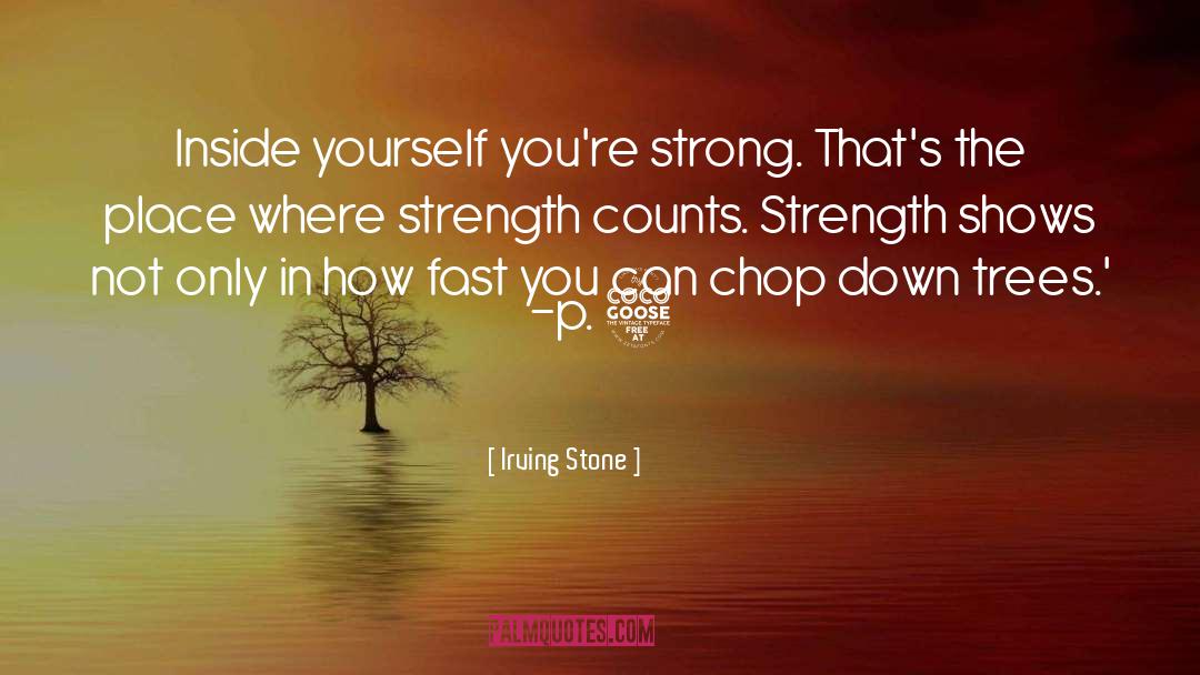 P 5 quotes by Irving Stone