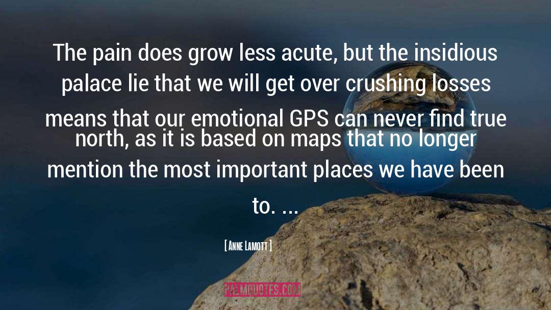 P70 Gps quotes by Anne Lamott