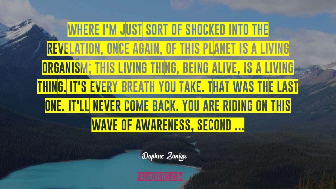 Pabebe Wave quotes by Daphne Zuniga