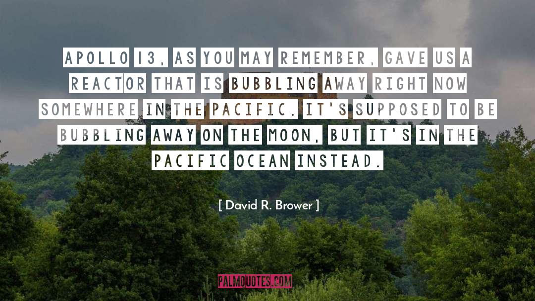 Pacific Ocean quotes by David R. Brower