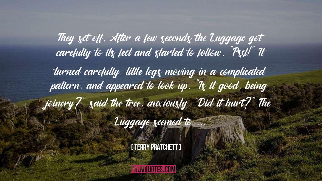Packing Luggage quotes by Terry Pratchett