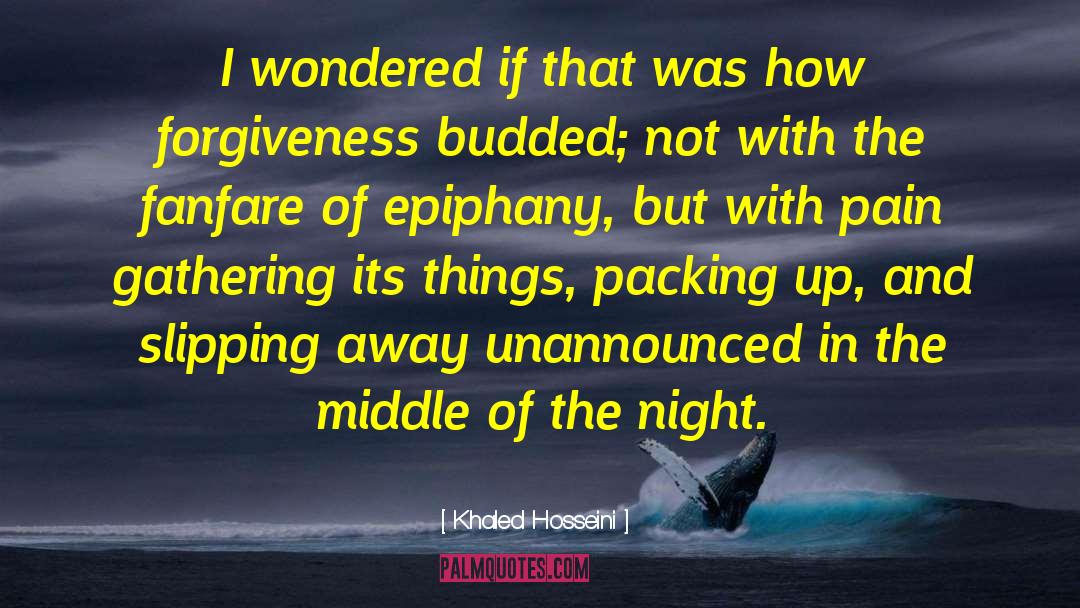Packing Up quotes by Khaled Hosseini