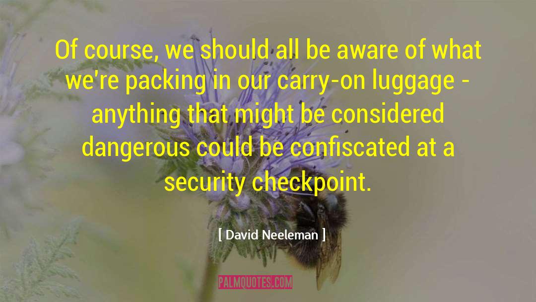 Packing Up quotes by David Neeleman