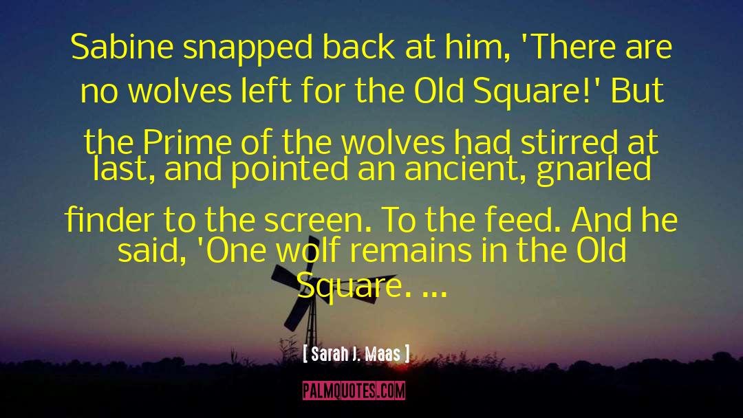 Packs Of Wolves quotes by Sarah J. Maas