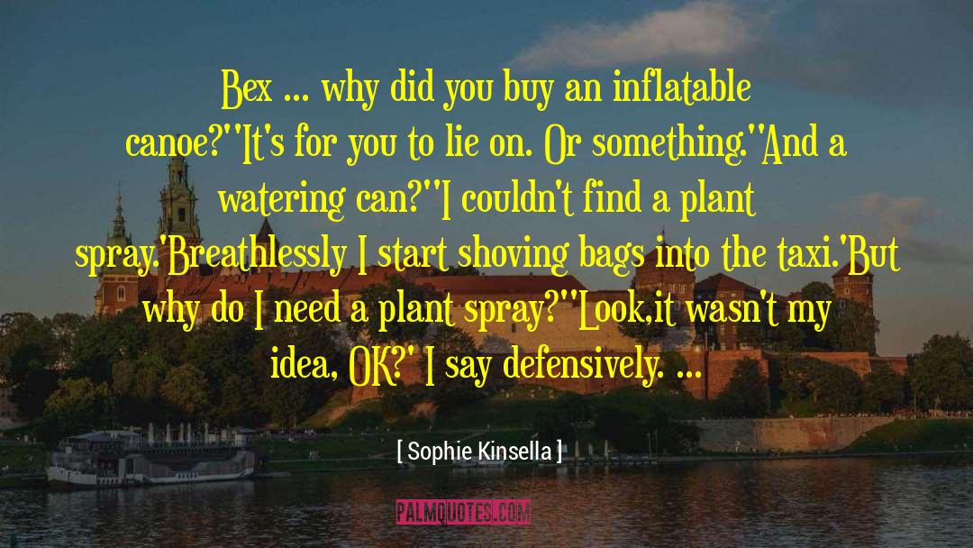 Paddling Canoe quotes by Sophie Kinsella