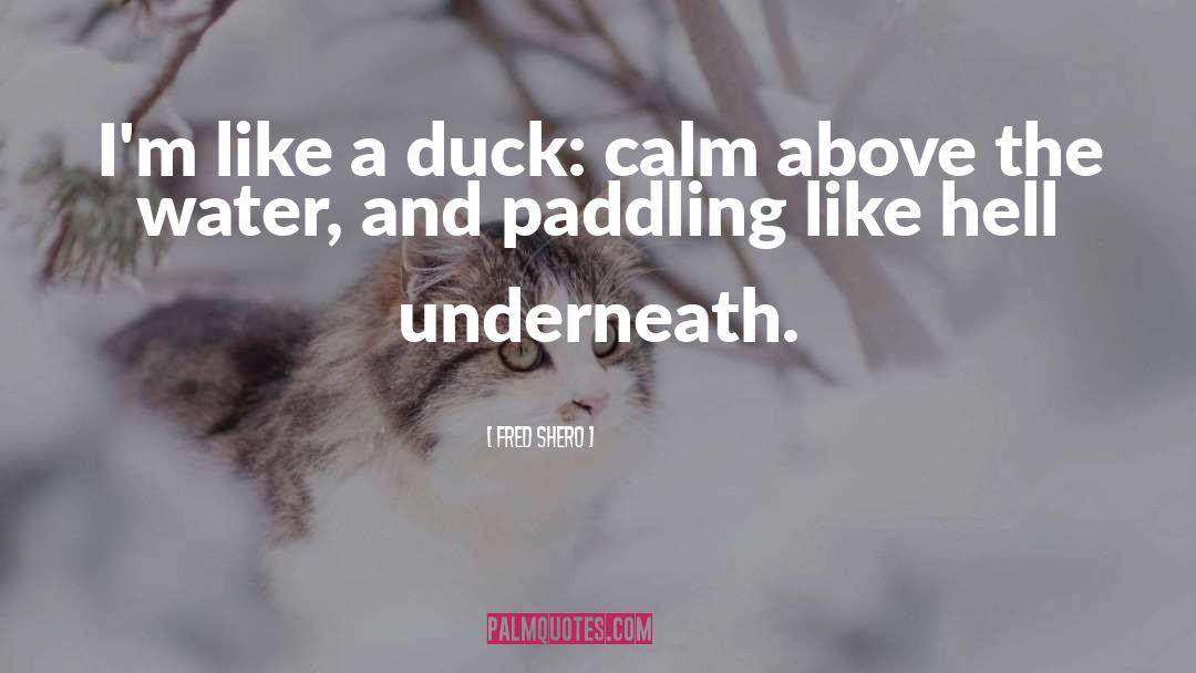 Paddling quotes by Fred Shero