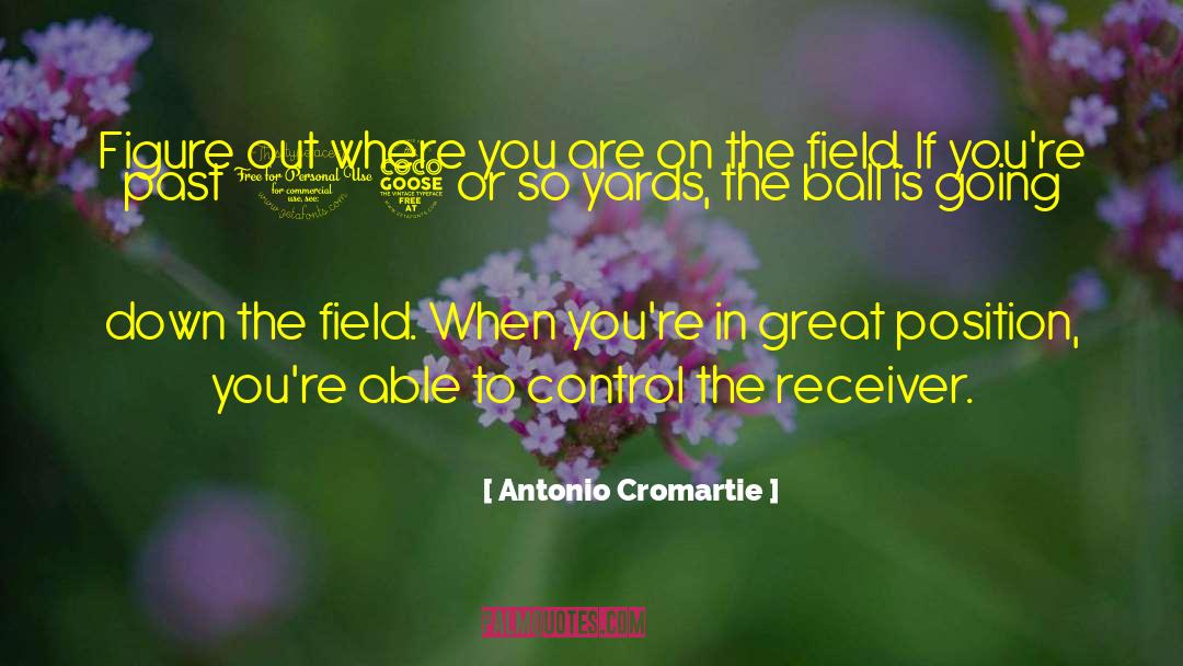 Paddy Field quotes by Antonio Cromartie