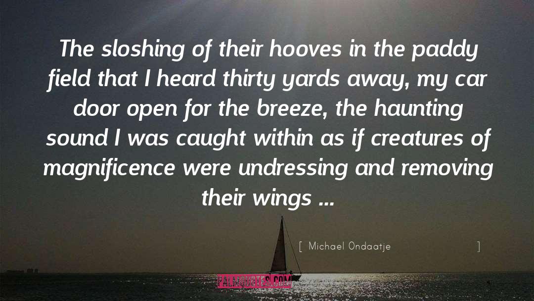 Paddy quotes by Michael Ondaatje
