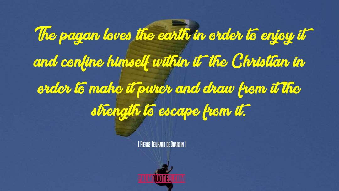 Pagan quotes by Pierre Teilhard De Chardin