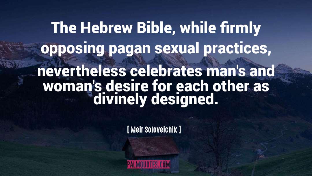 Pagan quotes by Meir Soloveichik