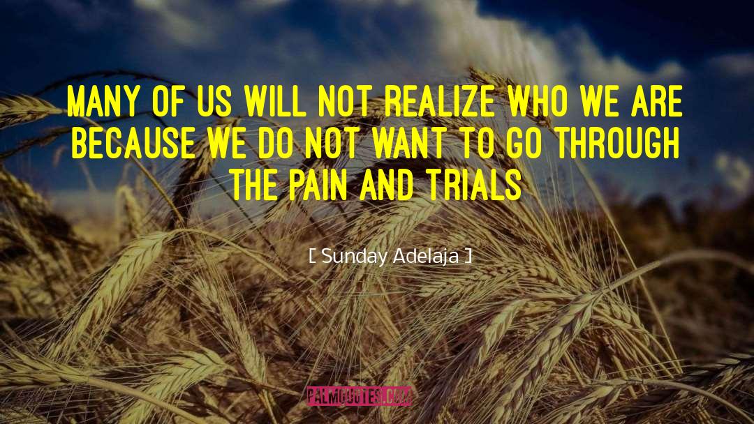 Pain And Loss quotes by Sunday Adelaja