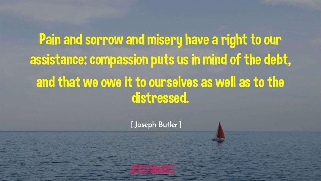 Pain And Sorrow quotes by Joseph Butler