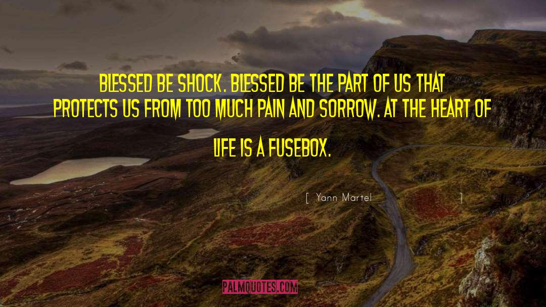 Pain And Sorrow quotes by Yann Martel