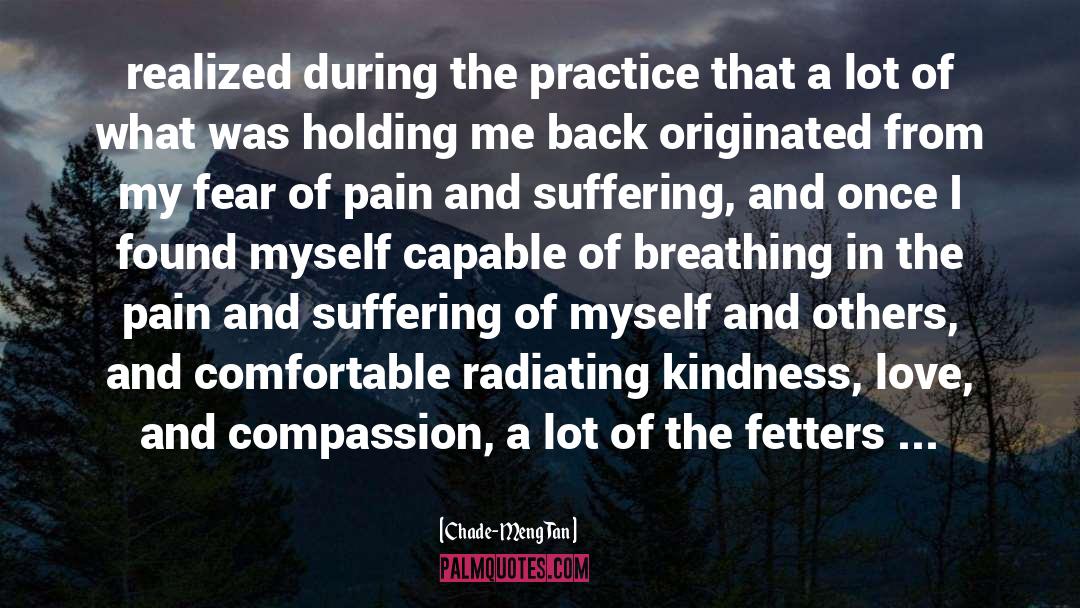 Pain And Suffering quotes by Chade-Meng Tan