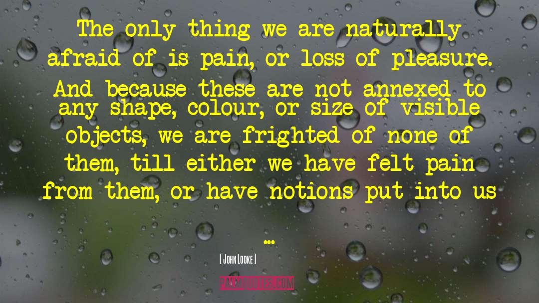 Pain Beauty quotes by John Locke