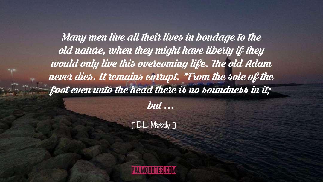 Pain From Old Wounds quotes by D.L. Moody