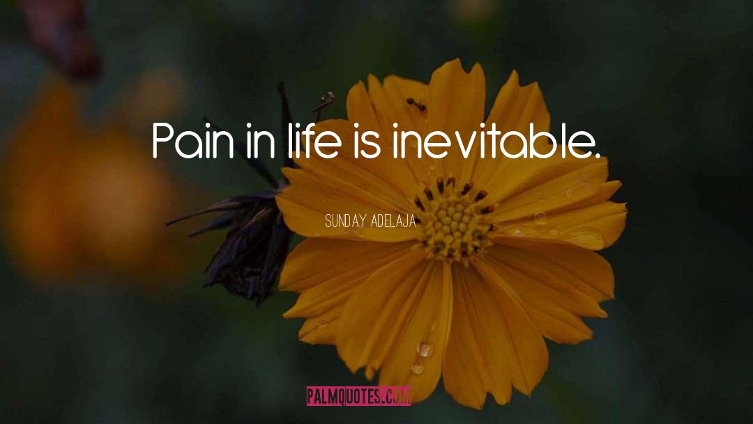Pain In Life quotes by Sunday Adelaja