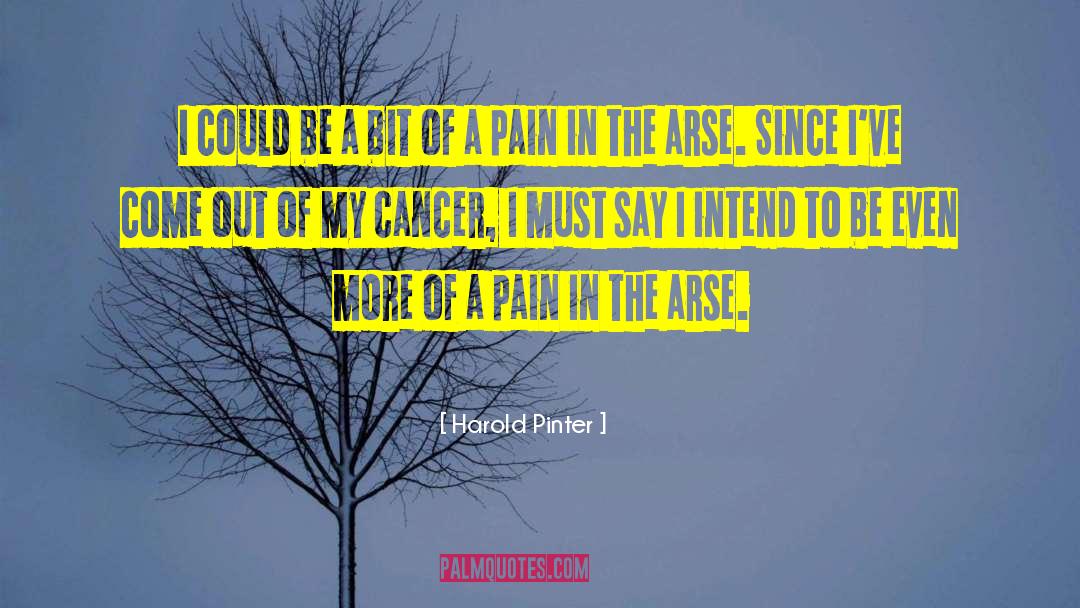 Pain In The Arse quotes by Harold Pinter