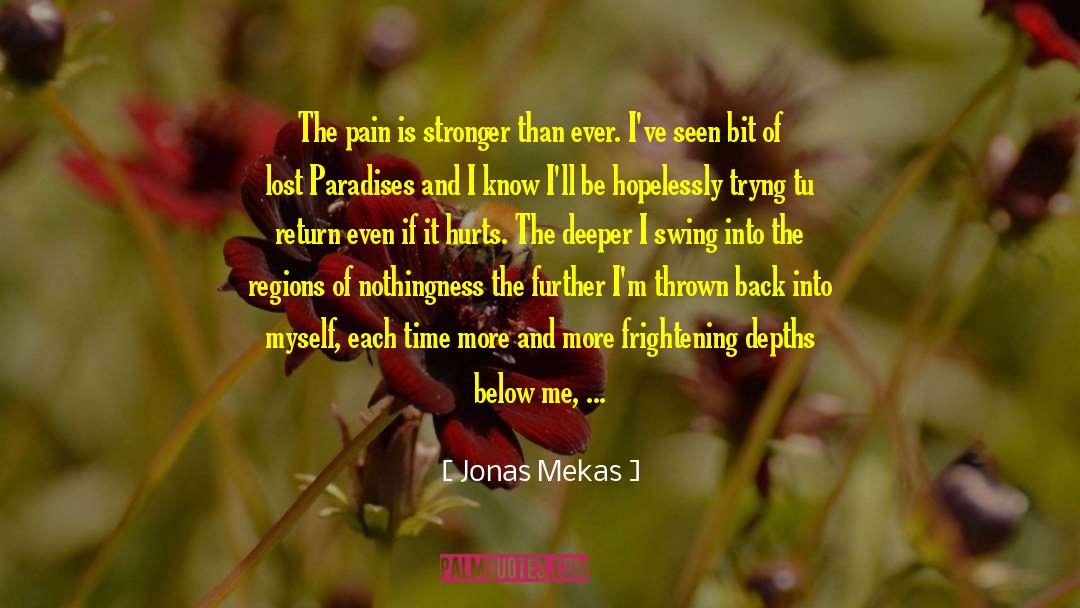 Pain Into Purpose quotes by Jonas Mekas