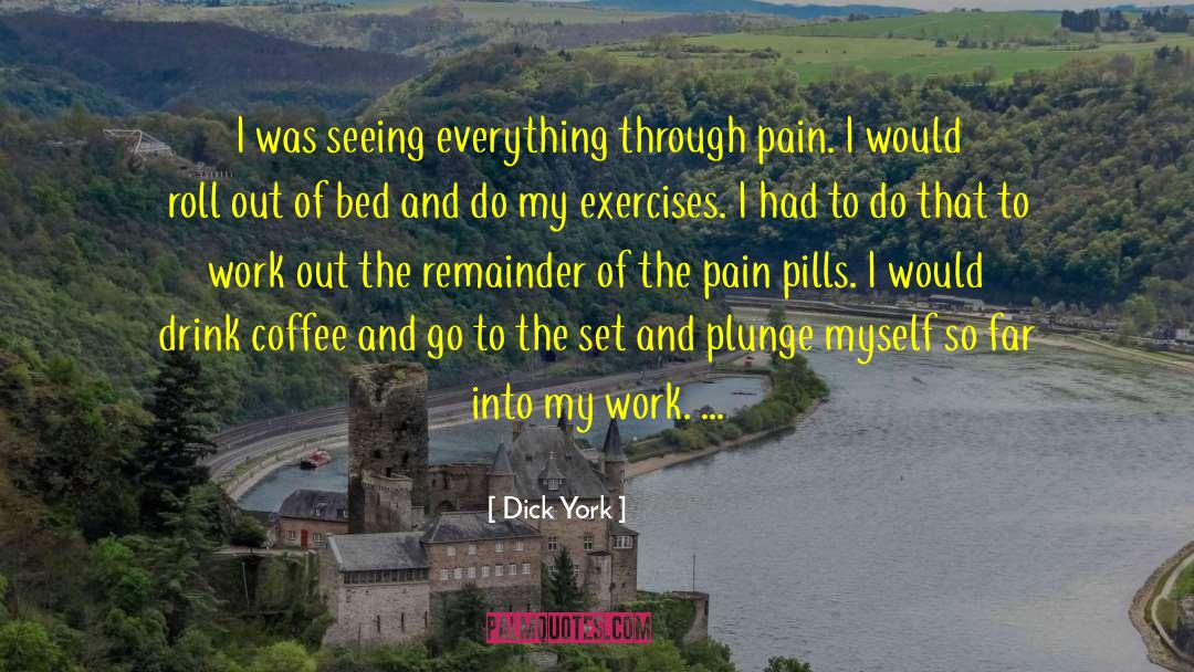 Pain Lies quotes by Dick York