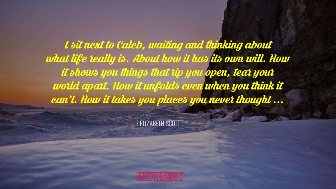 Pain Life And Living quotes by Elizabeth Scott