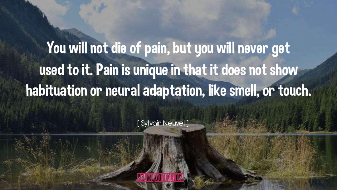 Pain Never Stops quotes by Sylvain Neuvel