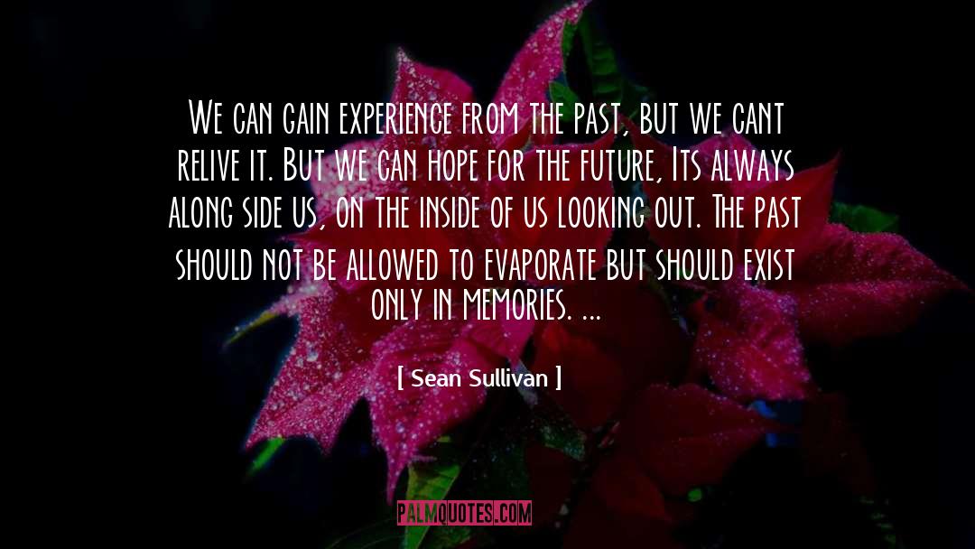 Pain Of The Past quotes by Sean Sullivan