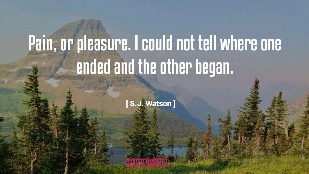 Pain Pleasure quotes by S.J. Watson