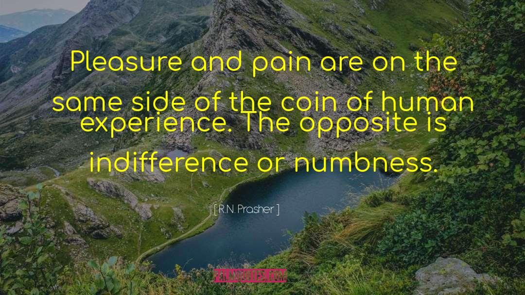 Pain Pleasure quotes by R.N. Prasher